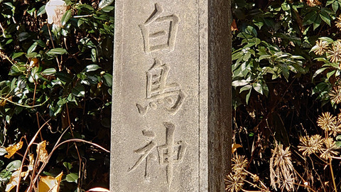 resize1630