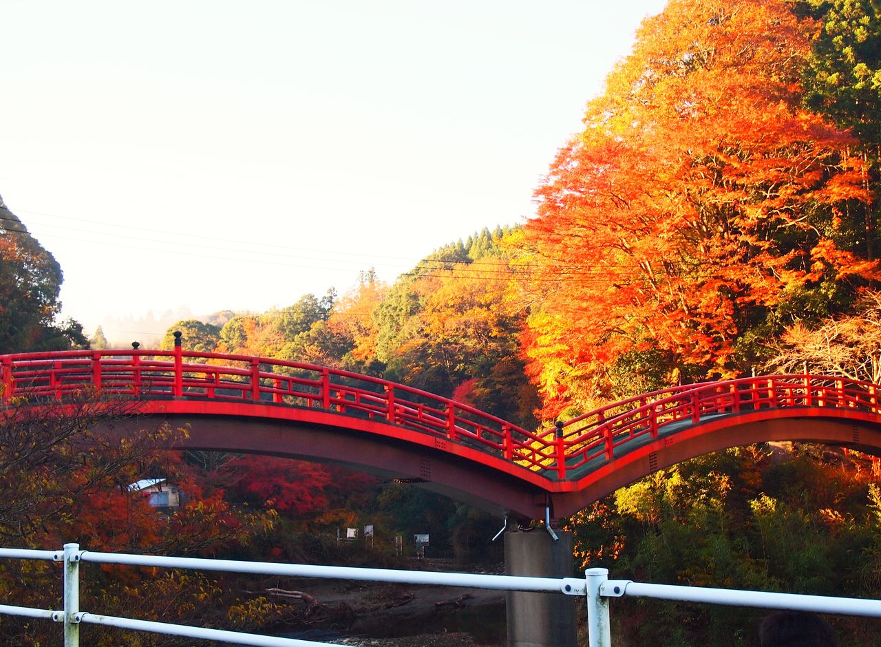 養老渓谷 養老の滝の紅葉 安く遊べる場所