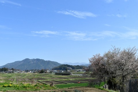 DSC_9891-2
