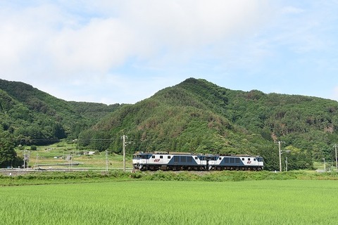 DSC_3951-1