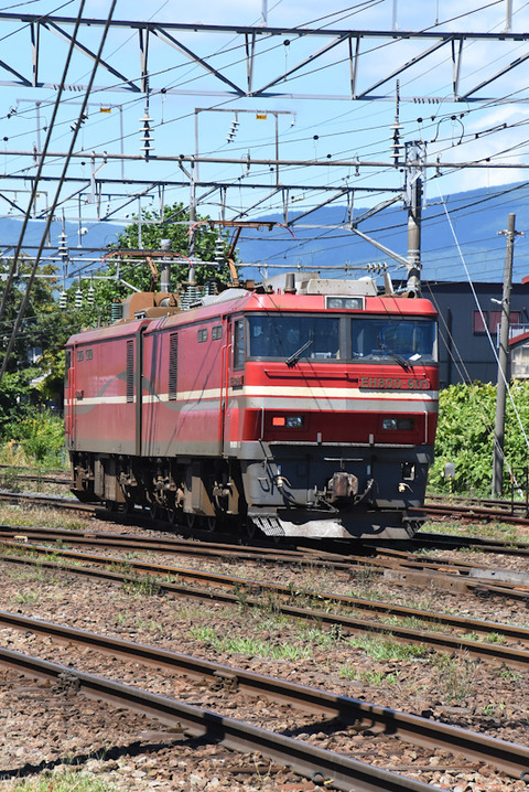 DSC_9060-1