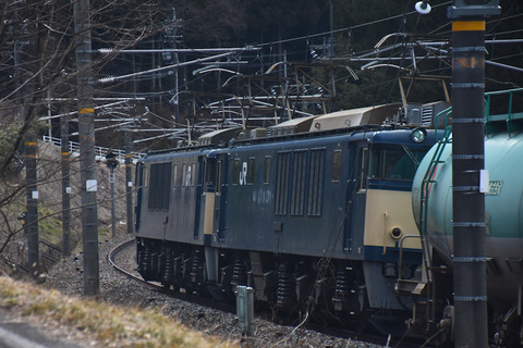 DSC_8181-1