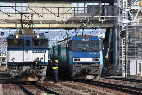 DSC_6063 (2)-1