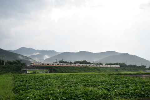 DSC_6822-1