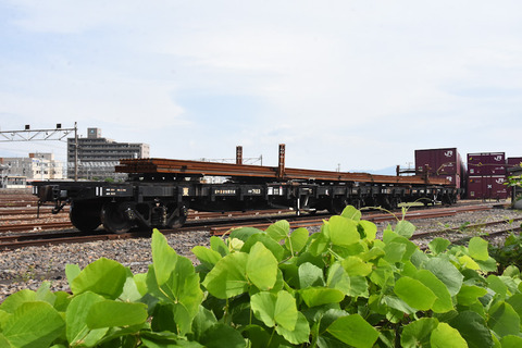 DSC_6877-1