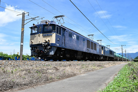 DSC_2113-1