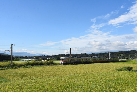 DSC_2863-1