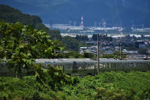 DSC_2842 (2)-1