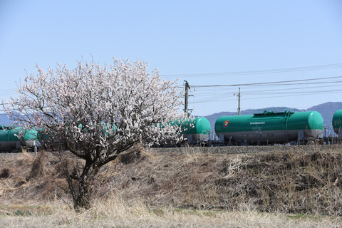 DSC_4842-1