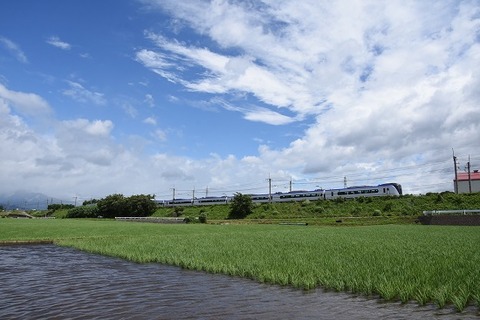 DSC_7512-1