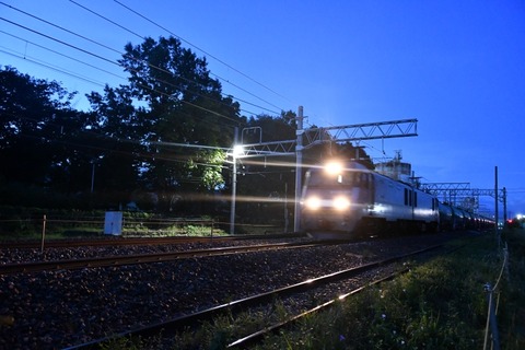 DSC_6958-2