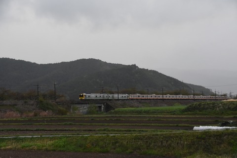 DSC_4262-2