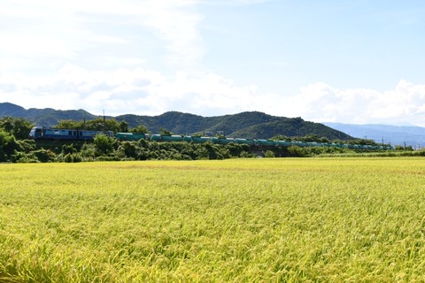 DSC_6466-2