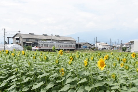 DSC_9959-2