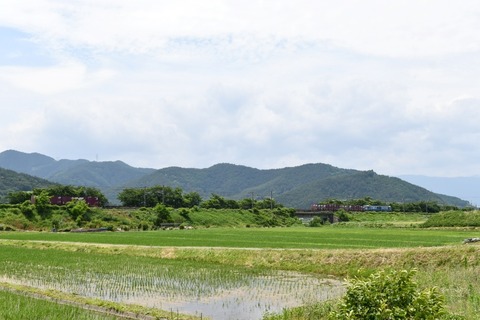 DSC_9125-2