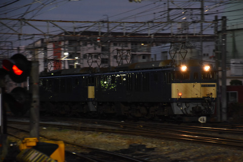 DSC_3088-1