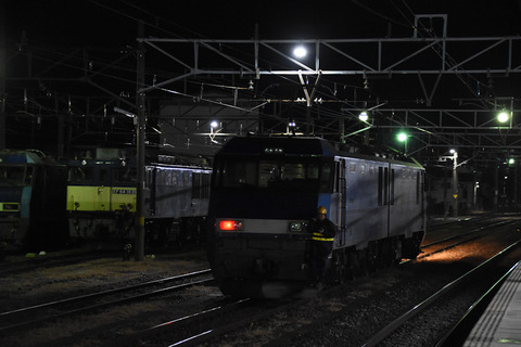 DSC_3071-1