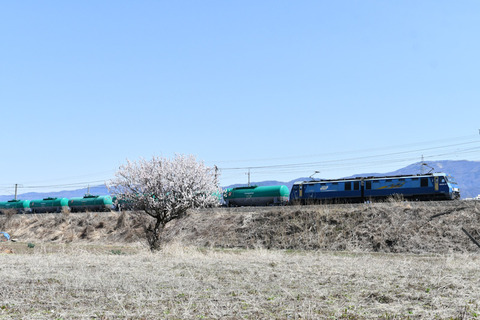 DSC_8998-1