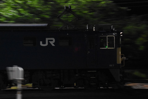 DSC_0159-1