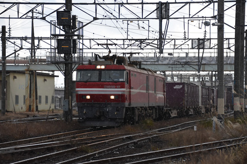 DSC_4457-1