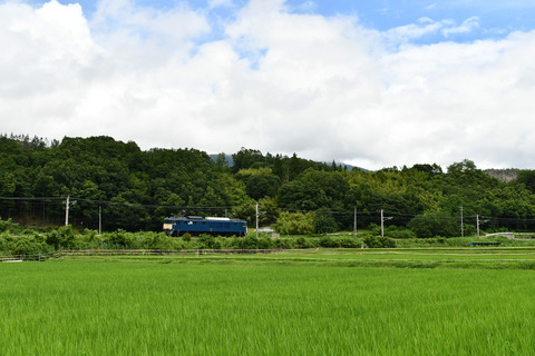 DSC_0524_edited