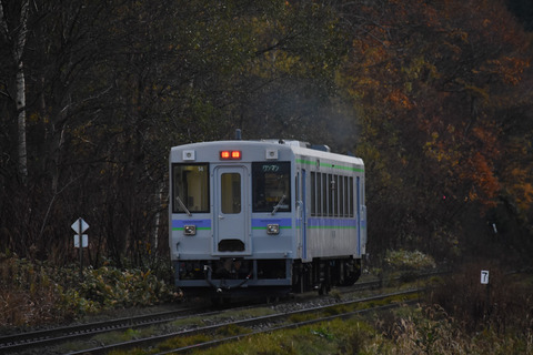 DSC_3687-1