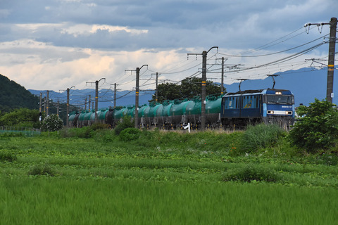 DSC_9568-1