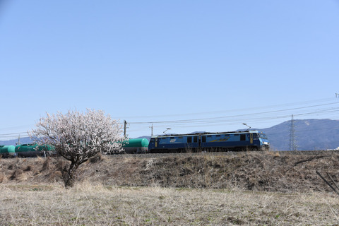 DSC_4833-1