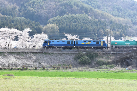 DSC_5199-1