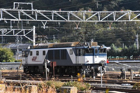 DSC_6813_edited-1