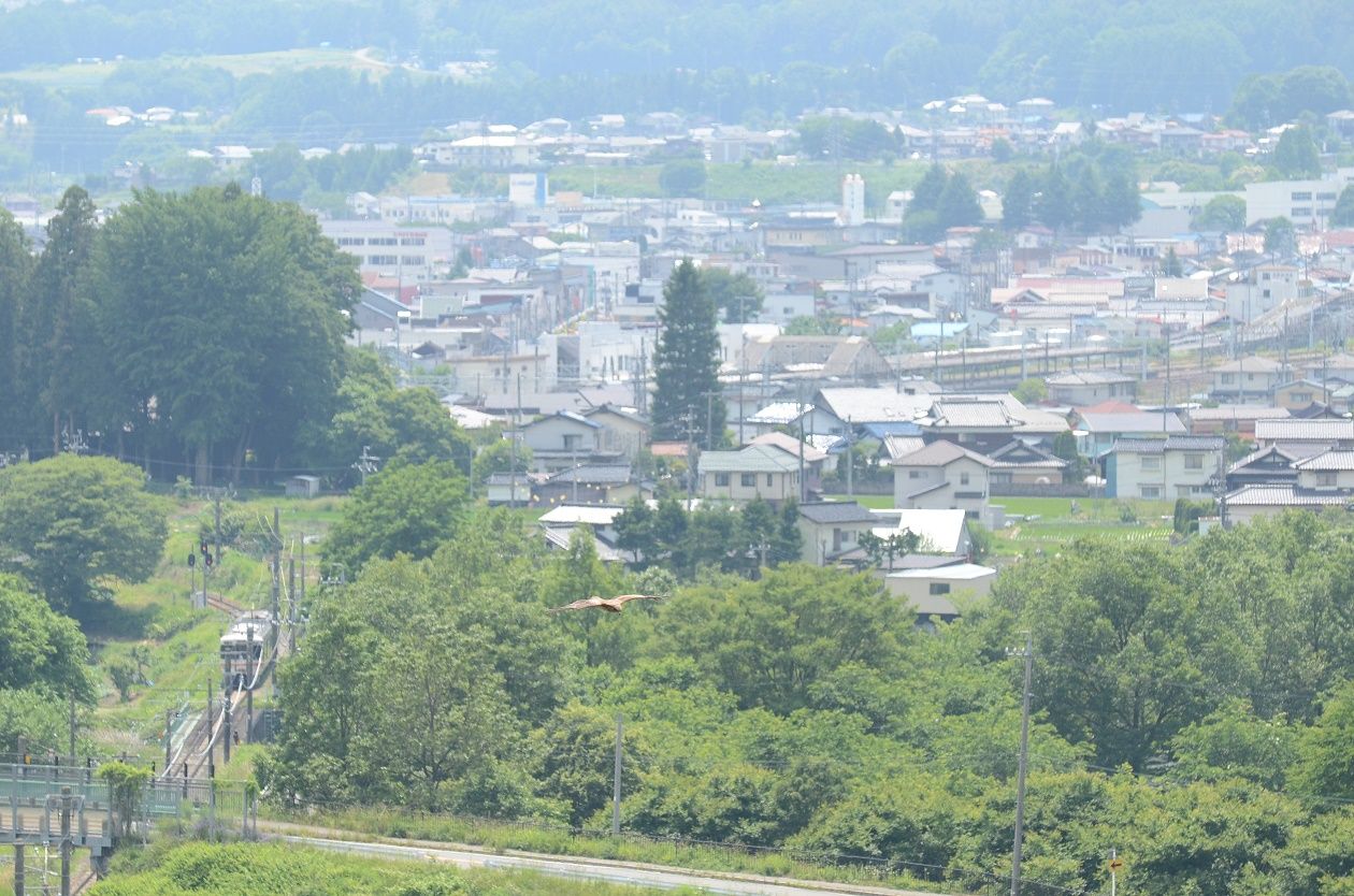 イメージ 3