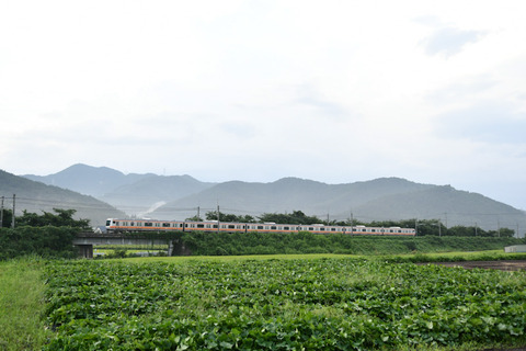 DSC_6754-1
