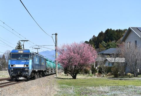 DSC_9038-1
