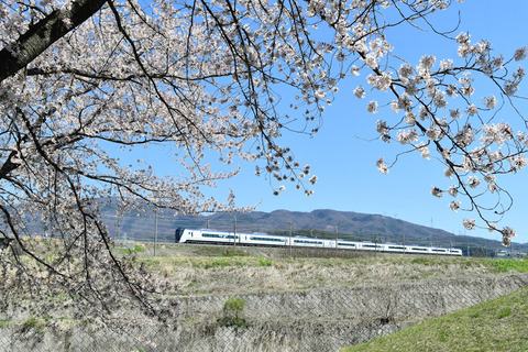 DSC_1504_edited
