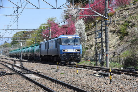 DSC_7579_edited-1