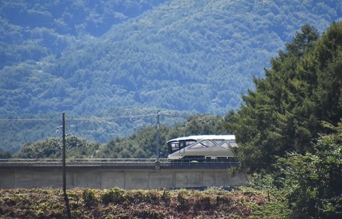 DSC_0584 (2)-1