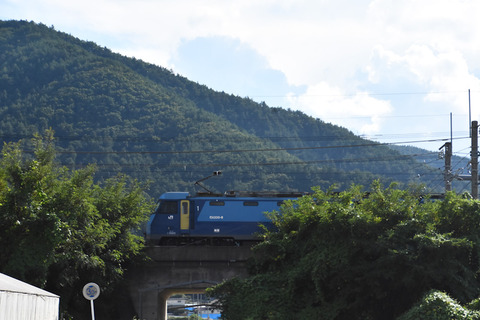 DSC_9551-1