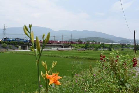 DSC_9635-1