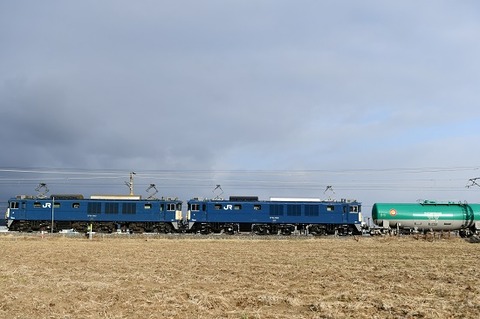 DSC_3061-1