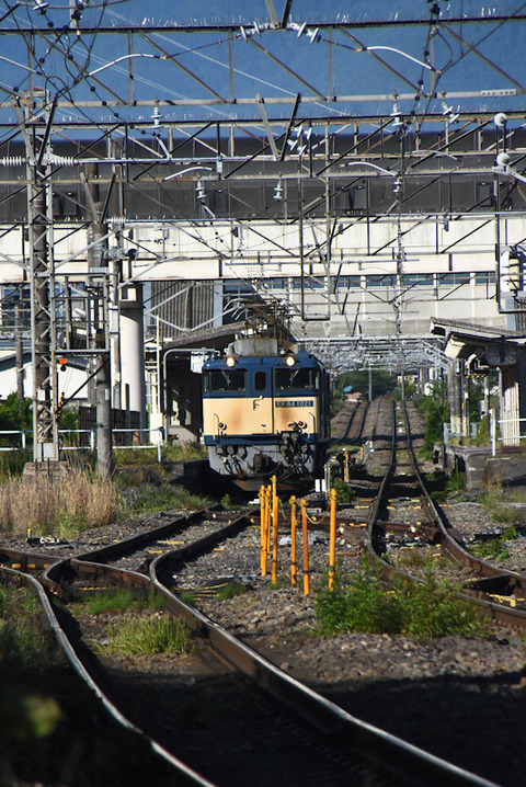 DSC_0272-1