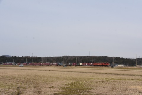 DSC_0609-2