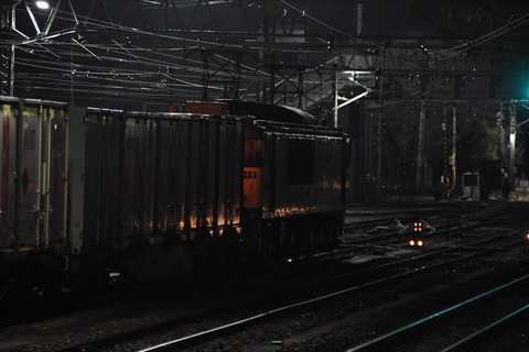 DSC_1846-1