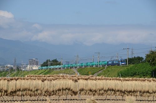 イメージ 1