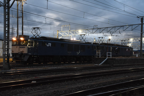 DSC_9989-1