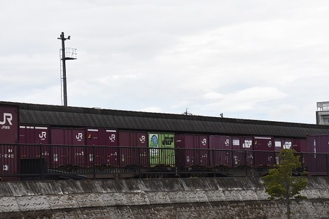 DSC_4179-1