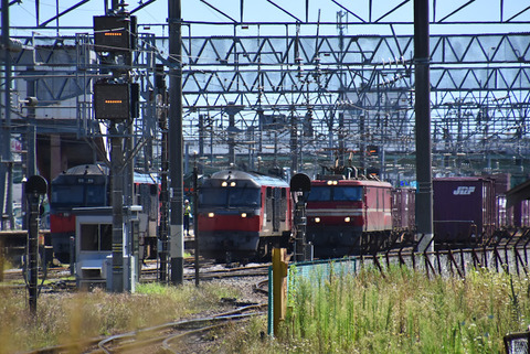 DSC_8978-1