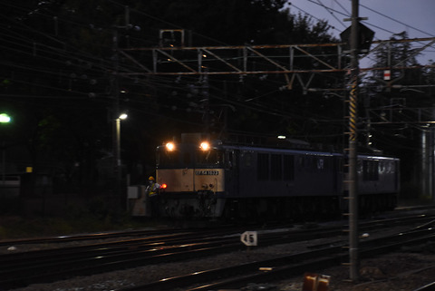 DSC_3104-1