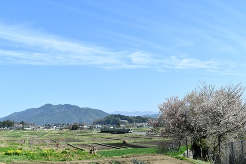 DSC_9954-2