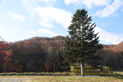 DSC_2762-1