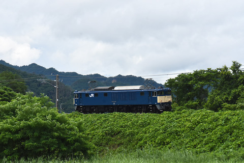 DSC_8196-1